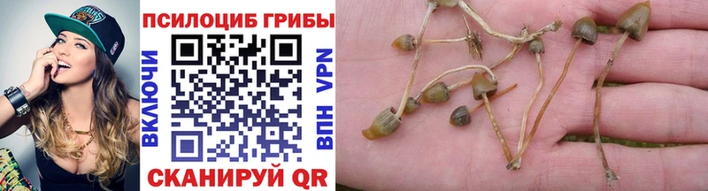 Купить закладки  Туран  Галлюциногенные грибы мицелий 